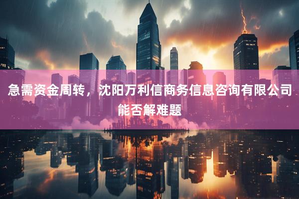 急需资金周转，沈阳万利信商务信息咨询有限公司能否解难题