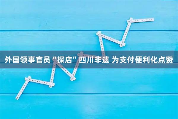 外国领事官员“探店”四川非遗 为支付便利化点赞