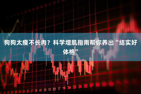 狗狗太瘦不长肉？科学增肌指南帮你养出“结实好体格”