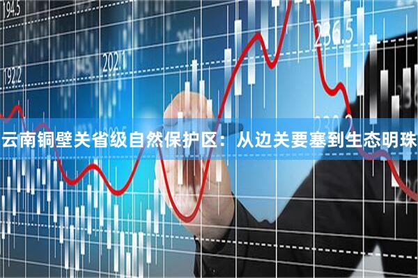 云南铜壁关省级自然保护区:从边关要塞到生态明珠
