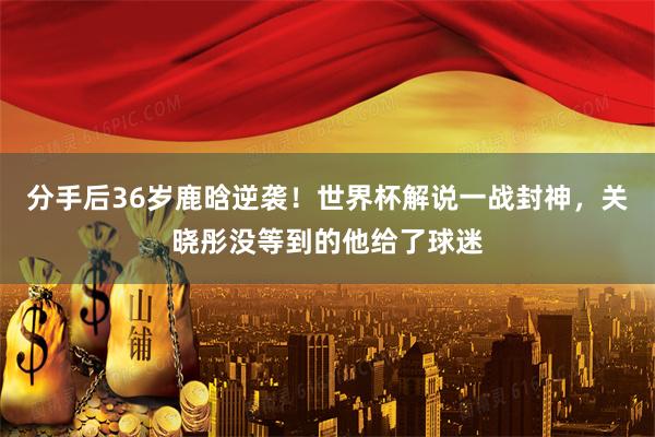 分手后36岁鹿晗逆袭！世界杯解说一战封神，关晓彤没等到的他给了球迷