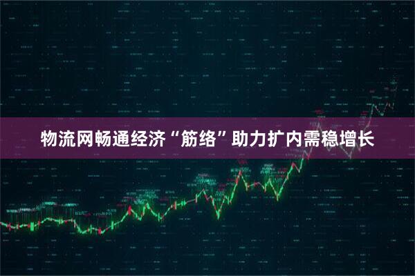 物流网畅通经济“筋络”助力扩内需稳增长
