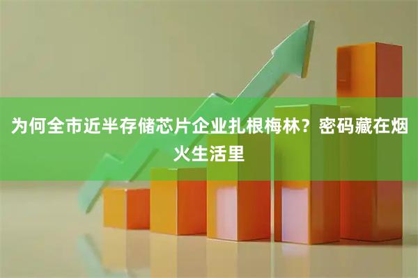 为何全市近半存储芯片企业扎根梅林？密码藏在烟火生活里