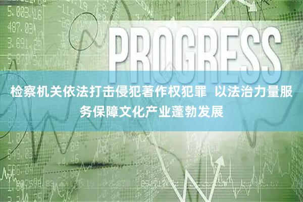 检察机关依法打击侵犯著作权犯罪  以法治力量服务保障文化产业蓬勃发展